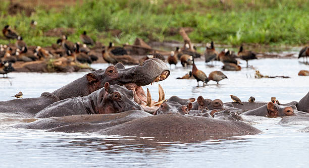 Lake Manyara