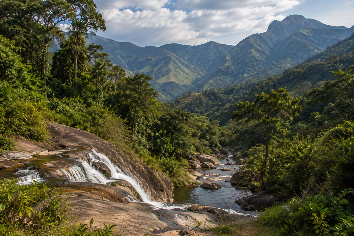 Udzungwa Mountains