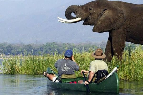 Canoeing safari in Tanzania